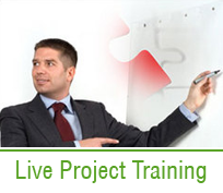 live-project-training